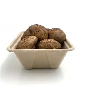 C Custom Service Biodegradable Eco Friendly Sugarcane Bagasse Pulp Mushroom Tray Container For Supermarket