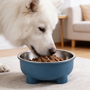 Bol d'alimentation pour <span class=keywords><strong>chien</strong></span> et chat en acier inoxydable de qualité alimentaire, base antidérapante, grande capacité, bol intérieur profond, facile à nettoyer, durable pour les animaux de compagnie - Product Image 3