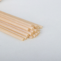 Pailles à boire biodégradables en PLA d'agave, compostables, écologiques, à base de plantes