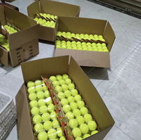 Balles de padel personnalisées en gros avec logo d'usine chinoise, durables, lot de 90, haute élasticité, pour l'entraînement et la pratique des débutants et des animaux de compagnie