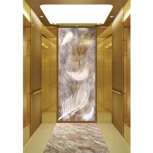 Elevadores <span class=keywords><strong>de</strong></span> lujo y alta calidad, hechos en China, para interior <span class=keywords><strong>de</strong></span> hoteles <span class=keywords><strong>de</strong></span> gama alta - Product Image 3
