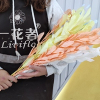 Décoration de fleurs séchées de bonne qualité, feuilles d'oranges conservées pour la décoration florale