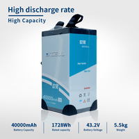 Batterie de drone à haute densité énergétique 65000 mAh 24S 86,4 V, pack de batteries semi-statiques haute performance pour drones à charge utile lourde