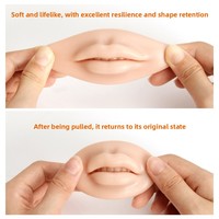 Module de pratique de tatouage pour lèvres pulpeuses, en silicone 3D, pour l'entraînement au tatouage semi-permanent et au blanchiment des lèvres