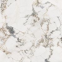 Dalle de porcelaine en pierre frittée Exotic Pandora Flower 1600x3200mm, texture marbre cristal multicolore, pour mur TV de villa de luxe