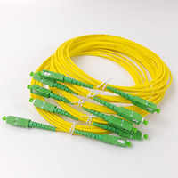 1 mètre sc/apc-sc/apc g652d monomode sm simplex fibre optique cordon de raccordement fabrication avec connecteur