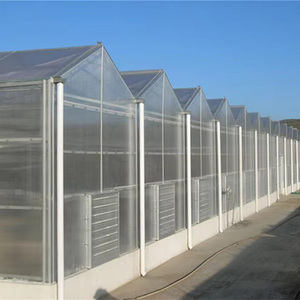 โครงสร้างเหล็กชุบสังกะสี, แผ่นโพลีคาร์บอเนตป้องกันรังสียูวี, ฉนวนกันความร้อนได้ดีสำหรับปลูกผักและดอกไม้ในโรงเรือนพลาสติก - Product Image 6