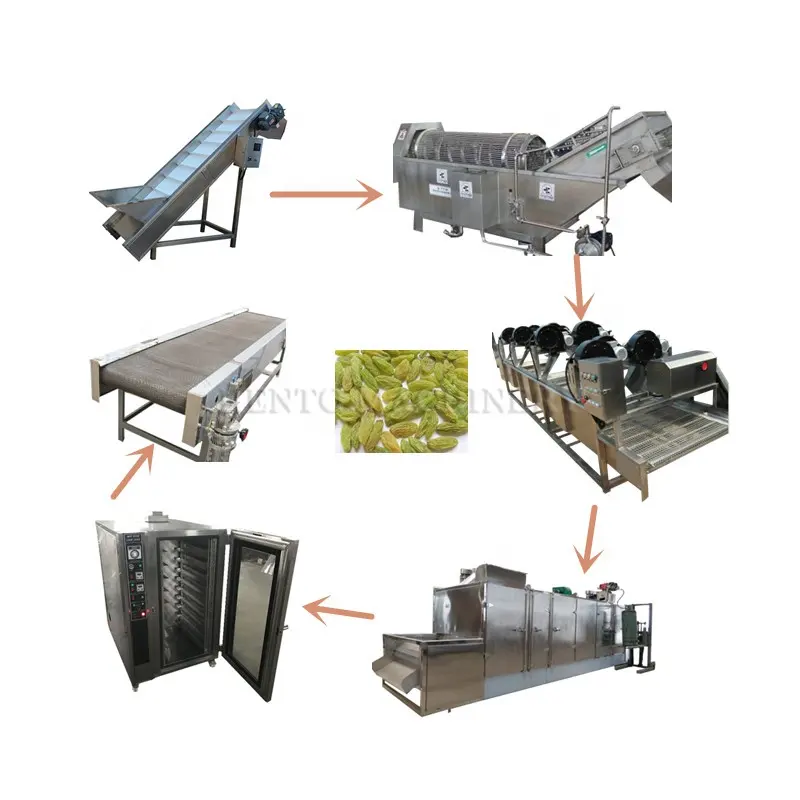 Factory Price Grape Dryer Machine / Grape Drying Machine / Raisin Production Line