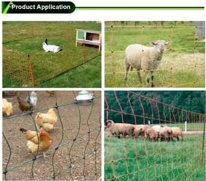 Clôture électrique Semi-<span class=keywords><strong>rigide</strong></span> en fibre de verre, clôture en filet électrique pour ferme de poulet - Product Image 6