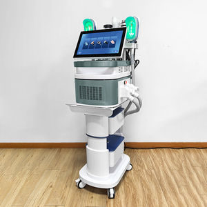 Máquina de Belleza Portátil 2025 <span class=keywords><strong>para</strong></span> Reducir Grasa Abdominal y Adelgazar - Product Image 6
