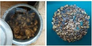 Compre Rodajas/Escamas de Cúrcuma Negra Seca, Hechas Naturalmente con Múltiples Usos, Rodajas/Escamas de Cúrcuma Negra - Product Image 2