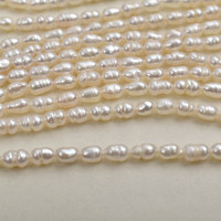 Perle d'eau douce naturelle 4-5 mm, perle de riz en fil, perle semi-finie, type de perle de riz, perle en vrac, accessoires de bijouterie DIY