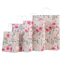 Tas Belanja Kertas Custom dengan Pegangan, Tas Kertas Kraft dengan Pegangan Terpilin, Tas Kado Kertas Die Cut, Tas Kertas Custom dengan Logo