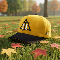 Gorras de Béisbol Personalizadas de Gamuza de 5 Paneles de Calidad Original OEM/ODM, Gorras con Barba Dorada