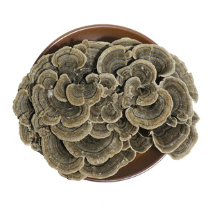 Натуральный органический экстракт хвоста индейки - Product Image 4