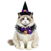 Vente directe usine : Nouveau set de bavoir et chapeau pour animaux de compagnie, décoration d'Halloween, foulard en dentelle réglable pour chats et chiens, accessoire festif pour animaux.