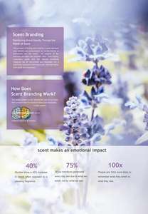 Wholesale Supplier California Zesty <b>Hand</b> <b>Soap</b> Hotel <b>Hand</b> <b>Soap</b> Luxury Liquid <b>Hand</b> Wash <b>Soap</b> <b>5L</b> Bottle - Product Image 3