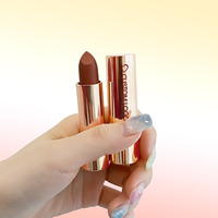 Vente en gros de maquillage, logo personnalisé, gloss à lèvres mat imperméable longue tenue, rose nude brun, label privé, rouge à lèvres végan