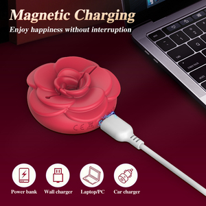 Estimulador vaginal Clip Vibrador Pezón Vibrador Abrazaderas Masaje de senos Masturbación femenina - Product Image 6