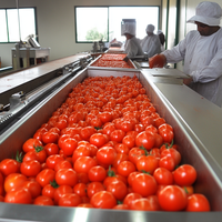 Industriële Tomatenpuree Machine Automatische Tomatenpuree Maken Machines Kleine Tomatenpuree Verwerkingsfabriek Prijs