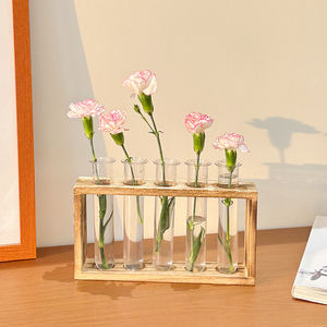 Minimalisti scher quadratischer Glas blumentopf mit Holz ständer für den Heim-und Desktop-Gebrauch Langlebige Vermehrung station - Product Image 5