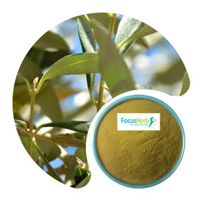 FocusHerb USA Entrepôt Extrait de plantes de qualité alimentaire Poudre d'oleuropéine de feuille d'olivier 40% HPLC - Product Image 2
