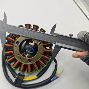 Bobine d'<span class=keywords><strong>allumage</strong></span> et <span class=keywords><strong>stator</strong></span> de moteur pour moto CF 250NK 250SR 300NK 300SR 300NK 300SS CF300-US OE 0DM0-032000 - Product Image 2