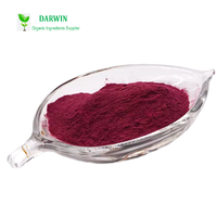 Compléments de vitamine B12 Darwin, méthylcobalamine de haute qualité, poudre rouge 99%