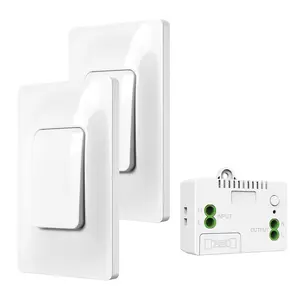 2 button 1 receiver Dual-control US wireless kinetic energy wall switch long-distance battery-free self-generating lamp switch