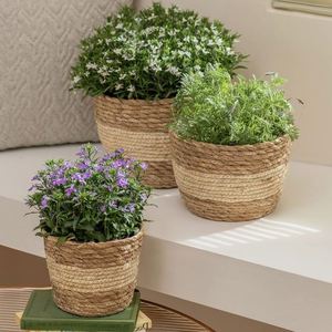 Panier à plantes Cintres Fruits d'extérieur à <span class=keywords><strong>accrocher</strong></span> <span class=keywords><strong>au</strong></span> <span class=keywords><strong>mur</strong></span> Pots d'intérieur Paniers décoratifs en métal Cintre organique - Product Image 3