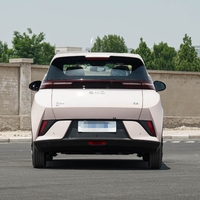 Offre Spéciale BYD 2025 Seagull Smart Driving Edition 305km Vitality Edition New Energy Vehicles Pure Electric