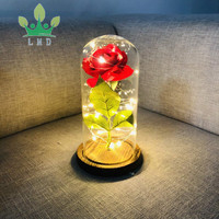Kit de roses La Belle et la Bête Enchantée Rose en soie rouge avec lumière LED Pétales tombés dans des feuilles vertes Dôme en verre sur socle en bois
