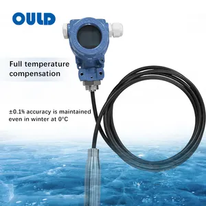 OULD PT-928 4-20Ma 0.5-4.5V Rs485 Output Water Level Controller Depth Meter Gauge Sensor Detector Water Level Transducer