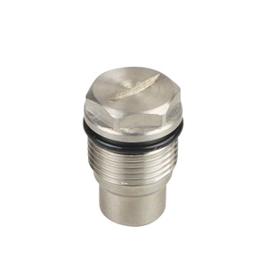 Xuzhong Fuel Rail Valve <b>Plug</b> Fs00316x1e0609 Aluminum For <b>Replace</b> Repair - Product Image 5