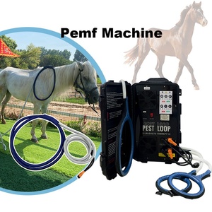Appareil PEMF haute puissance pour chevaux avec double commande pour détendre les muscles raides et favoriser une meilleure qualité de sommeil - Product Image 1