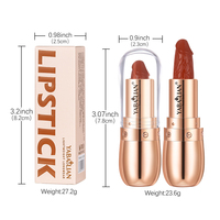 Fournisseurs de cosmétiques en vrac de marque propre, ensemble de gloss à lèvres et de crayons à lèvres, ensemble de rouge à lèvres liquide biologique, ensemble de maquillage pour les lèvres en gel, rouge à lèvres imperméable