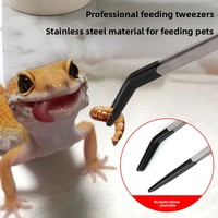 Pince de préhension en acier inoxydable pour reptiles, pinces à prédateurs en acier, pinces d'alimentation pour grenouilles, antidérapantes et antirouille pour tortues et grenouilles cornées