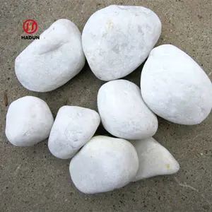 海滩花园石白色卵石石