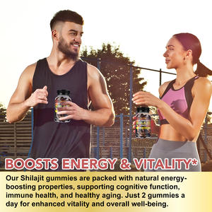 OeBotanical Reine Himalaya-Shilajit-Gold-Gummis 60 Stück Himalaya-Natur-Shilajit-Gummis für KONZENTRATION & STIMMUNG - Product Image 6
