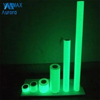 YEEMAX Paquete de 2 Vinilos Adhesivos Fotoluminiscentes Brillantes de PVC PET que Brillan en la Oscuridad de 2 a 10 Horas, Súper Brillantes, para Advertencia de Seguridad Automotriz