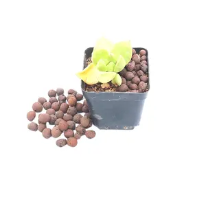 Hot sell LECA Expanded Clay Balls 4-8mm lightweight expanded clay aggregate ceramsite Pellets for Hydroponic Garden