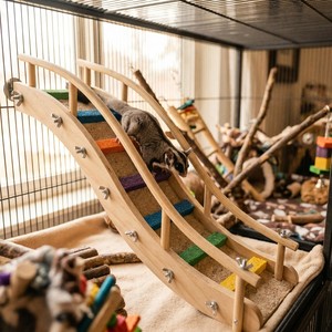 <span class=keywords><strong>Escalera</strong></span> de Escalada con Textura de Arena para Pecios de Azúcar y Ardillas - Puente de Madera para Jaula con 5 Peldaños de Grano Mineral de 12.6in/32cm - Product Image 1