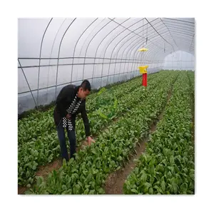 Serre <span class=keywords><strong>agricole</strong></span> à prix avantageux, film de protection en plastique, serre à simple portée, serre verte avec système d'irrigation goutte à goutte - Product Image 1