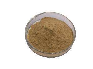 Groothandel Hoge Kwaliteit Chinese Kruiden <span class=keywords><strong>Forsythia</strong></span> <span class=keywords><strong>Extract</strong></span> 10:1 <span class=keywords><strong>Forsythia</strong></span> <span class=keywords><strong>Extract</strong></span> Poeder - Product Image 2