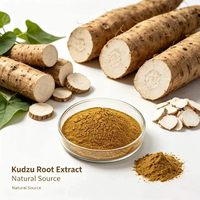 Pincredit Vente en gros de poudre d'extrait de racine de Kudzu de haute qualité, Puerarin 30% 98%