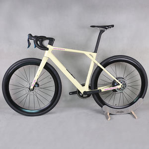 Bicicleta Completa <span class=keywords><strong>Tantan</strong></span> con Cuadro de Carbono, Bicicleta de Gravel con Frenos de Disco, Cuadro WheelTop, Grupo GEX 1*13, Ruedas de Aluminio GR208 - Product Image 1