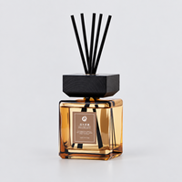Diffuseur d'huiles essentielles, diffuseur à bâtonnets, parfum d'ambiance pour hôtel et maison, grande capacité, parfum longue durée, sans alcool, artisanal, luxe moderne