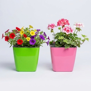 Flower Pots With Water Gauge for Home Gardening Size 13 Plastic Vietnam Colorful Smart Self-Watering <b>Planters</b> Double Layer - Product Image 1