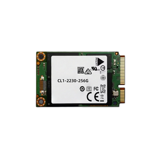 ใหม่ M.2 2230 โซลิดสเตตไดรฟ์ 256G 512G PCIE โน้ตบุ๊ค SSD CL1-2230-256G - Product Image 1