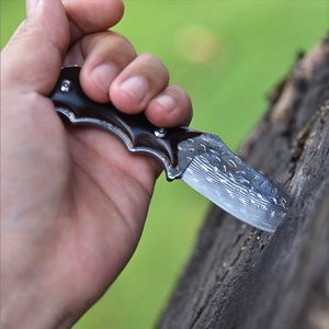 <span class=keywords><strong>Couteau</strong></span> à <span class=keywords><strong>lame</strong></span> fixe <span class=keywords><strong>damas</strong></span> en cuir, pour la chasse en plein air de petite taille, haute qualité sous-vêtement - Product Image 6